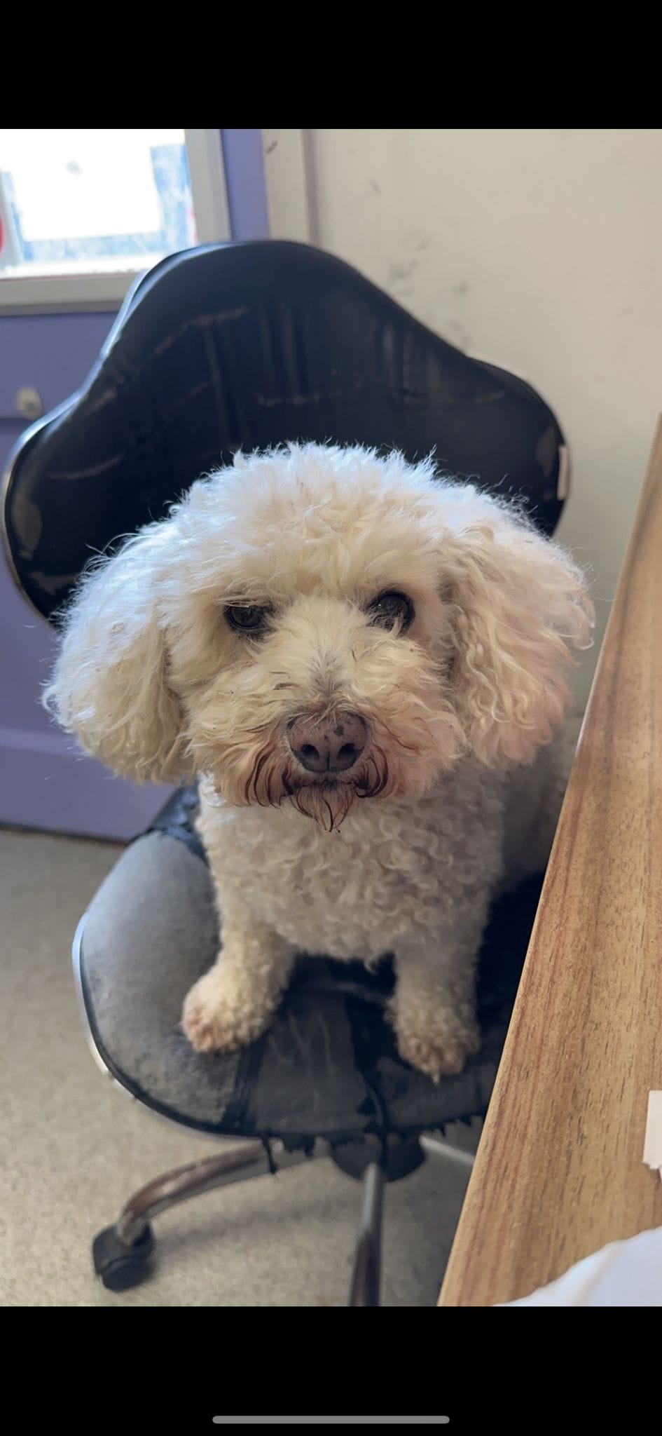 Doris — Chief Morale Officer